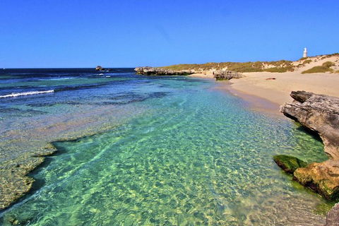 Rottnest Island Bayseeker Day Trip From Perth - Accommodation Fremantle 5