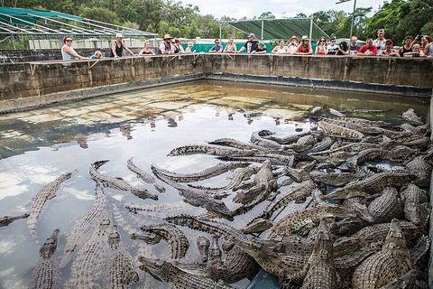 Hartley's Crocodile Adventures Day Trip From Cairns - Accommodation Fremantle 0