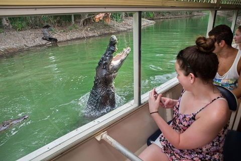 Hartley's Crocodile Adventures Day Trip From Cairns - Accommodation Fremantle 3