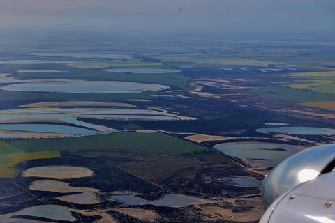 Wave Rock And Pinnacles Air & Ground Tour - Accommodation Fremantle 4