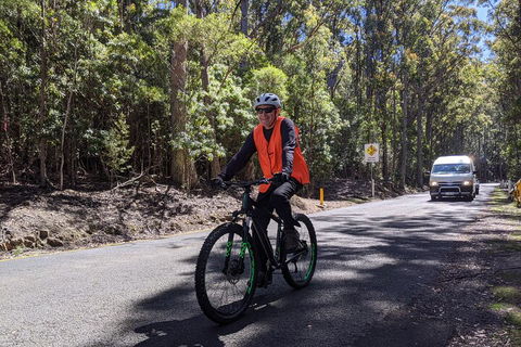 Mount Wellington Descent Cycling Tour Departs Hobart - Accommodation Fremantle 3