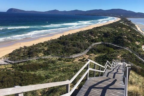 4-Day Fabulous Tasmania Tour: Wineglass Bay, Port Arthur, Devils & Bruny Island - Accommodation Fremantle 5