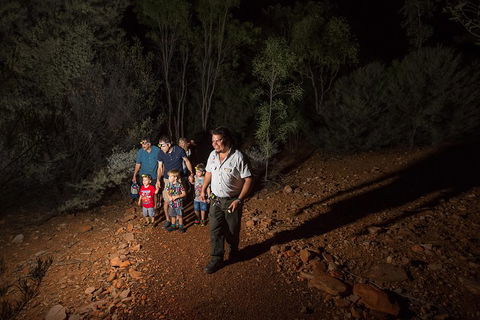 Alice Springs Desert Park Nocturnal Tour - Accommodation Fremantle 0