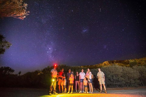 Alice Springs Desert Park Nocturnal Tour - Accommodation Fremantle 2
