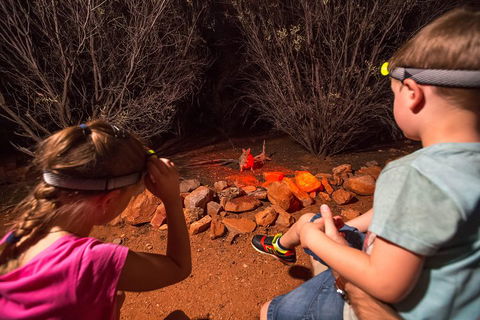 Alice Springs Desert Park Nocturnal Tour - Accommodation Fremantle 4