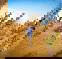 Full-Day Pinnacles Desert and Yanchep National Park Tour From Perth - Accommodation Fremantle