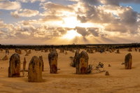 Half Day Pinnacles Sunset Tour, Perth