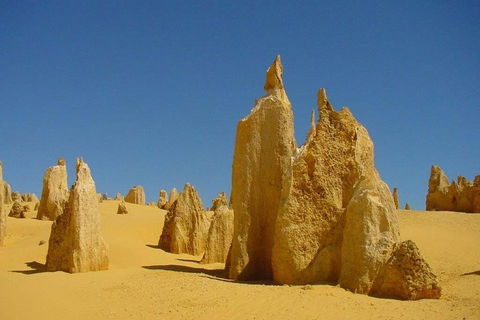 Half Day Pinnacles Sunset Tour - Accommodation Fremantle 2