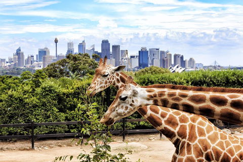 Go City | Sydney Explorer Pass With 20+ Attractions And Tours - Accommodation Fremantle 2