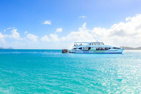 Whitehaven Beach And Daydream Island Cruise - Accommodation Fremantle 2