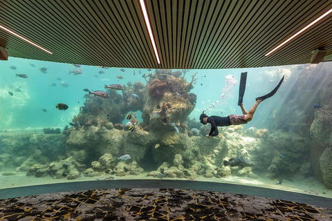 Whitehaven Beach And Daydream Island Cruise - Accommodation Fremantle 4