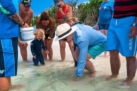 Whitehaven Beach And Hamilton Island Cruise - Accommodation Fremantle 1