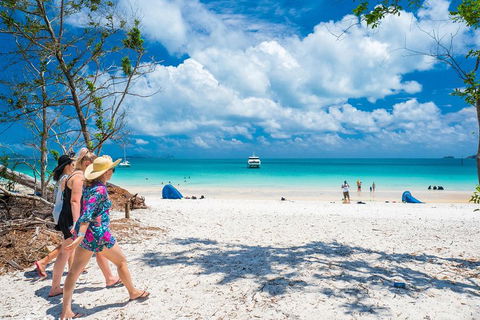 Whitehaven Beach Half-Day Cruises - Accommodation Fremantle 1