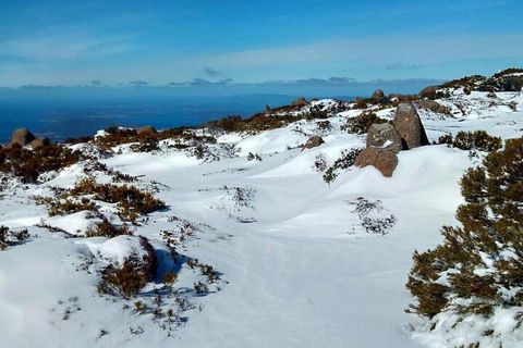 Mount Wellington Ultimate Experience Tour From Hobart - Accommodation Fremantle 1