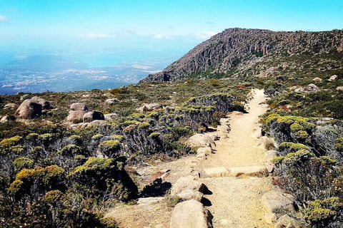 Mount Wellington Ultimate Experience Tour From Hobart - Accommodation Fremantle 5