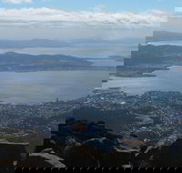 Mt Wellington Tour and MONA Admission - Accommodation Fremantle