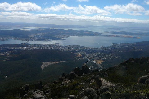 Mt Wellington Tour And MONA Admission - Accommodation Fremantle 2