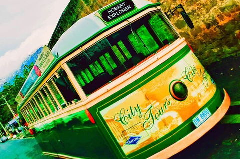Hobart Half-Day Sightseeing Coach Tram Tour - Accommodation Fremantle 5