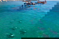 Adventure Moreton Island Scuba Dive Tour, Brisbane