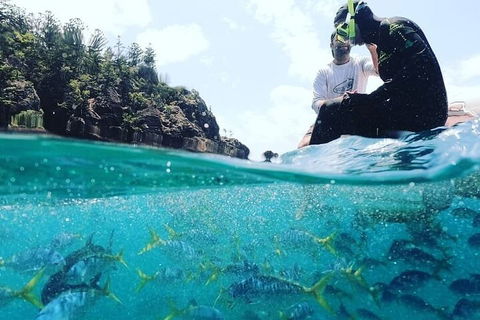 2 Night Small Group Whitsundays Sailing Adventure Aboard Mandrake - Accommodation Fremantle 5