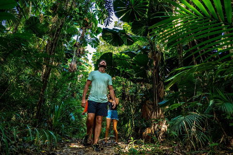Full Day Daintree Rainforest And Mossman Gorge Tour - Accommodation Fremantle 0