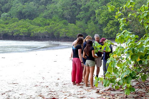 Full Day Daintree Rainforest And Mossman Gorge Tour - Accommodation Fremantle 2