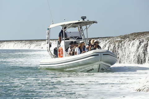 Cygnet Bay Explorer - Accommodation Fremantle 2