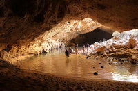 Windjana Explorer, Broome