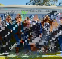 Full Day Mount Tamborine Winery Tour from Gold Coast