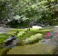 Daintree Dreaming Traditional Aboriginal Fishing from Cairns or Port Douglas - Accommodation Fremantle