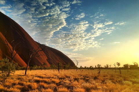 Highlights Of Uluru Including Sunrise And Breakfast - Accommodation Fremantle 0