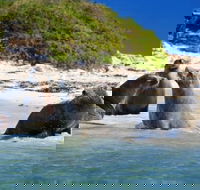 Dolphin Penguin and Sea Lion Cruise - Accommodation Fremantle