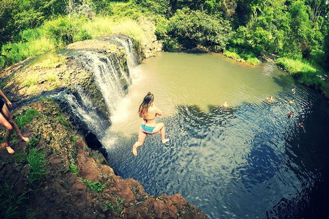 Byron Surrounds: Nimbin Waterfall Adventure - Swimming Tour - Accommodation Fremantle 3