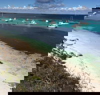 Experience Rottnest with Ferry  Bike Hire from Perth or Fremantle - Accommodation Fremantle