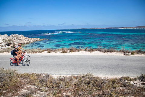 Experience Rottnest With Ferry & Bike Hire From Perth Or Fremantle - Accommodation Fremantle 2