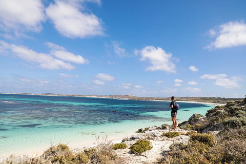 Experience Rottnest With Ferry & Bike Hire From Perth Or Fremantle - Accommodation Fremantle 3