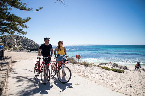 Experience Rottnest With Ferry & Bike Hire From Perth Or Fremantle - Accommodation Fremantle 4