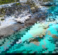 Rottnest Island Round-Trip Ferry from Perth or Fremantle - Accommodation Fremantle