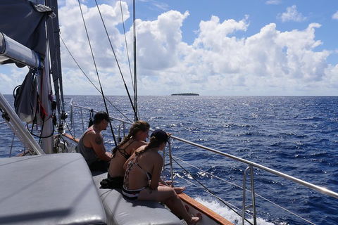 Ocean Free Green Island & Great Barrier Reef Snorkel Cruise, Cairns 25 Guests - Accommodation Fremantle 4