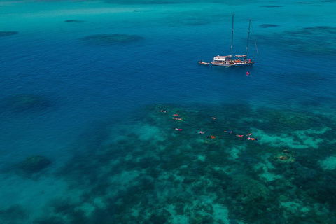 Ocean Free Green Island & Great Barrier Reef Snorkel Cruise, Cairns 25 Guests - Accommodation Fremantle 5