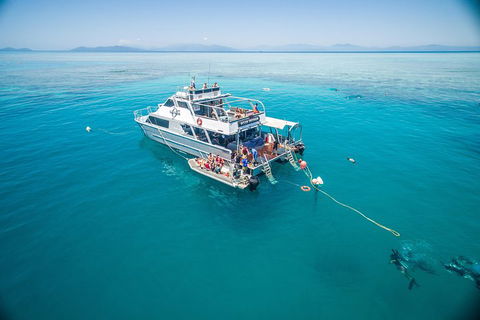Ocean Freedom Great Barrier Reef Personal Luxury Snorkel & Dive Cruise, Cairns - Accommodation Fremantle 0