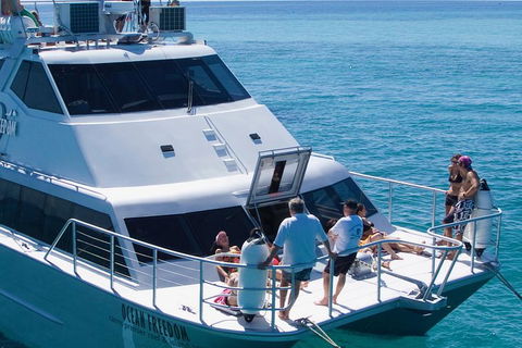 Ocean Freedom Great Barrier Reef Personal Luxury Snorkel & Dive Cruise, Cairns - Accommodation Fremantle 1