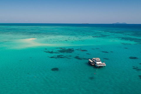 Ocean Freedom Great Barrier Reef Personal Luxury Snorkel & Dive Cruise, Cairns - Accommodation Fremantle 2