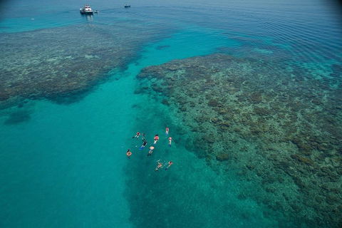 Ocean Freedom Great Barrier Reef Personal Luxury Snorkel & Dive Cruise, Cairns - Accommodation Fremantle 3