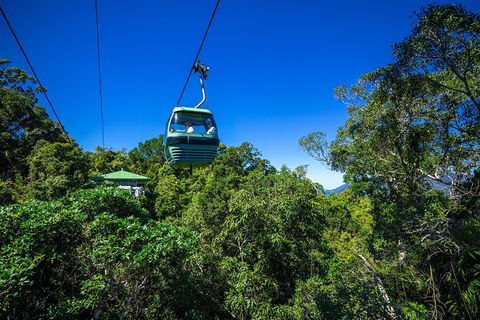 Classic Kuranda By Skyrail And Scenic Railway Including Rainforestation, Koala And Wildlife Park And Pamagirri Aboriginal Experi - Accommodation Fremantle 0