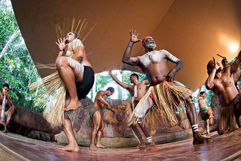 Kuranda Highlights Including Rainforestation Aboriginal Culture And Wildlife - Accommodation Fremantle 1