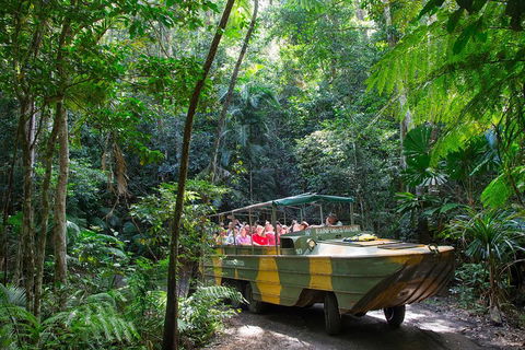 Kuranda Highlights Including Rainforestation Aboriginal Culture And Wildlife - Accommodation Fremantle 2