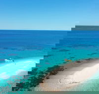 Ocean Safari Great Barrier Reef Experience in Cape Tribulation - Accommodation Fremantle