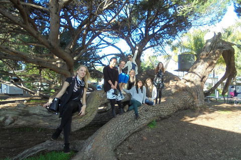 1/2 Day Swan Valley Wine Cheese & Chocolate Tour Inc Afternoon Cruise To Perth - Accommodation Fremantle 0