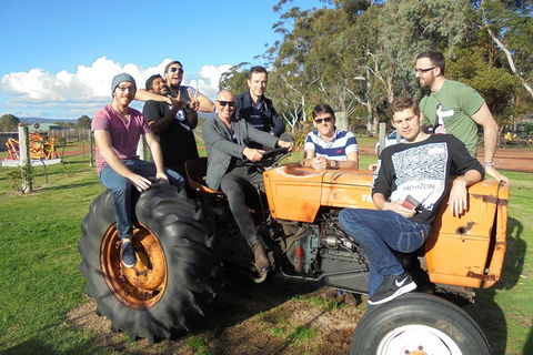 1/2 Day Swan Valley Wine Cheese & Chocolate Tour Inc Afternoon Cruise To Perth - Accommodation Fremantle 1